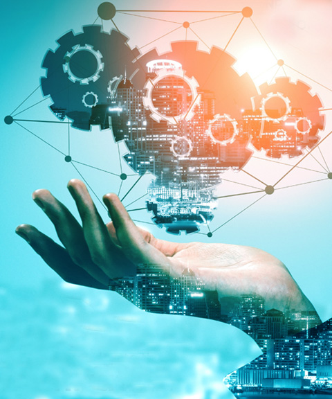 Discover NetVisionSI